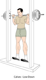 Calves Raise 
Up Position