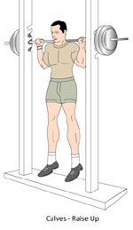 Calves Low 
Down Position