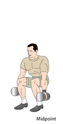 Dumbbell Squats Midpoint Position