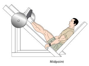 Leg Press 
Midpoint Position
