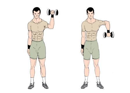 Rotator cuff top exercises reddit