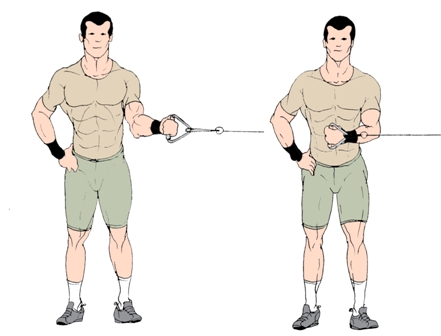Rotator Cuff Workout