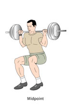 Squats 
Midpoint Position