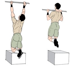 assisted pull ups