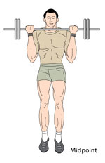 Building Arms and Forearms
