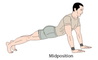 bodyweight exercises push up