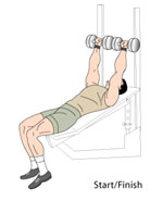 Incline Dumbbell Press Midpoint Position