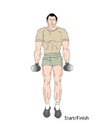 Lateral Raises Start Position