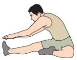 stretching for beginners