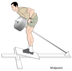 T bar rows Midpoint position