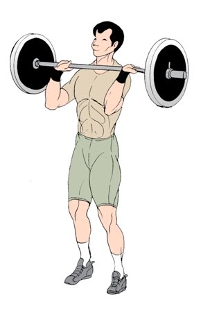 barbell front squat start position