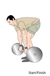 Barbell Rows Start Position