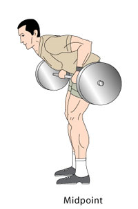 Barbell Rows Midpoint Position
