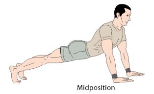 bodyweight exercises push up
