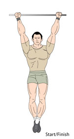 pull ups bodyweight exercise