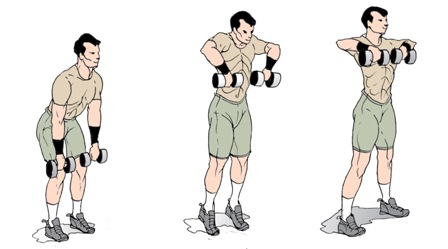dumbbell high pulls