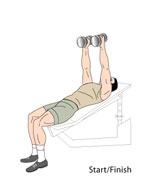 Incline Dumbbell Flyes Start