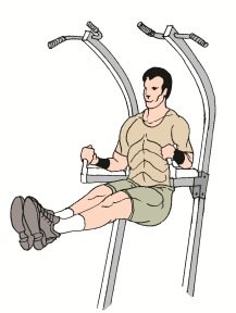 Vertical Bench Crunches Exercise To Build Lower Abs