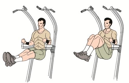 Vertical Bench Crunches Exercise To Build Lower Abs
