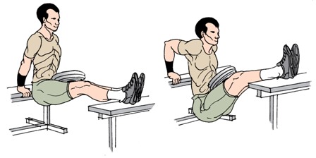 Bench Dips Exercise To Build Triceps Muscle